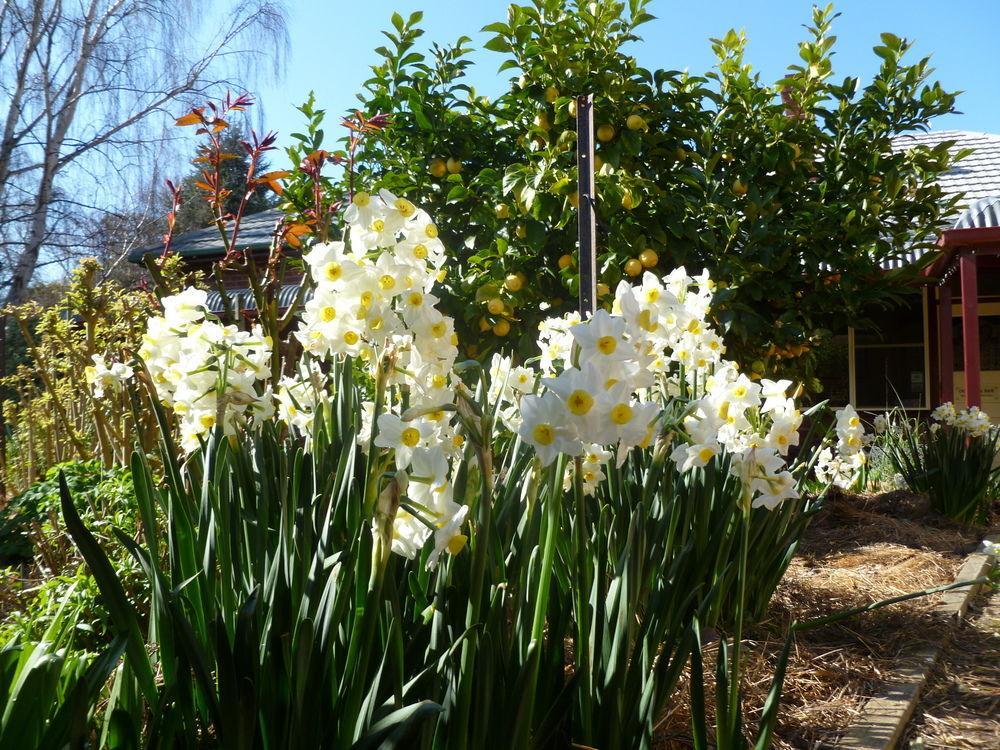 Donalea & Riverview Bed & Breakfast 4*